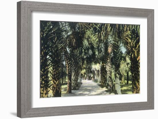 Tampa, Florida - View of Palmetto Walk-Lantern Press-Framed Art Print