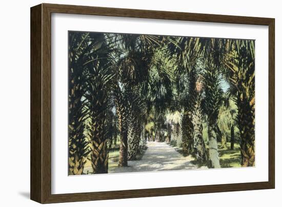 Tampa, Florida - View of Palmetto Walk-Lantern Press-Framed Art Print