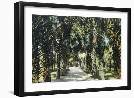 Tampa, Florida - View of Palmetto Walk-Lantern Press-Framed Art Print