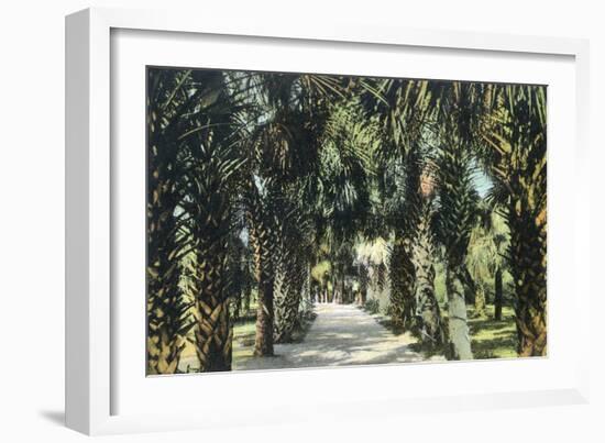 Tampa, Florida - View of Palmetto Walk-Lantern Press-Framed Art Print