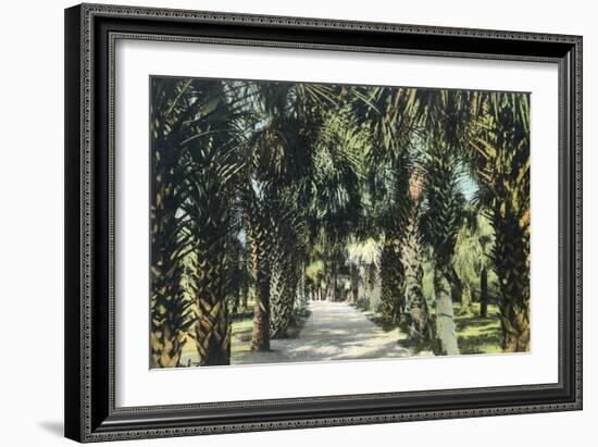 Tampa, Florida - View of Palmetto Walk-Lantern Press-Framed Art Print