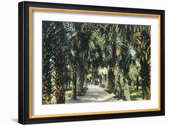 Tampa, Florida - View of Palmetto Walk-Lantern Press-Framed Art Print