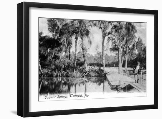 Tampa, Florida - View of Sulphur Springs-Lantern Press-Framed Art Print