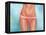 Tan Lines-Alexander Grahovsky-Framed Stretched Canvas