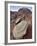 Tan Sandstone Boulder Among Red Rocks, Carson National Forest, New Mexico-James Hager-Framed Photographic Print