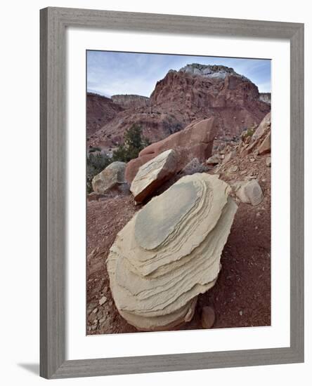 Tan Sandstone Boulder Among Red Rocks, Carson National Forest, New Mexico-James Hager-Framed Photographic Print