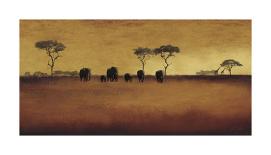 Serengeti II-Tandi Venter-Giclee Print