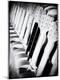 Premium Photographic Print