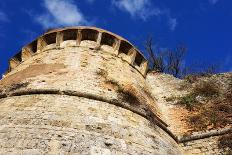 San Gimignano in Italy-tang90246-Photographic Print