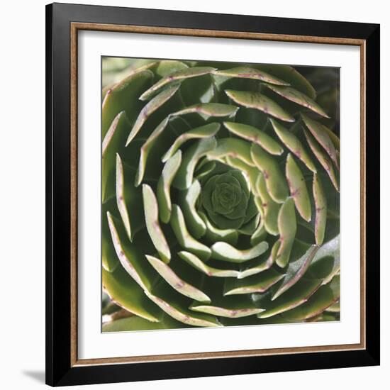 Tanger-Tony Koukos-Framed Giclee Print