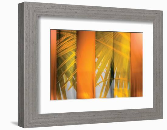 Tangerine and Cream-Andrew Michaels-Framed Photographic Print