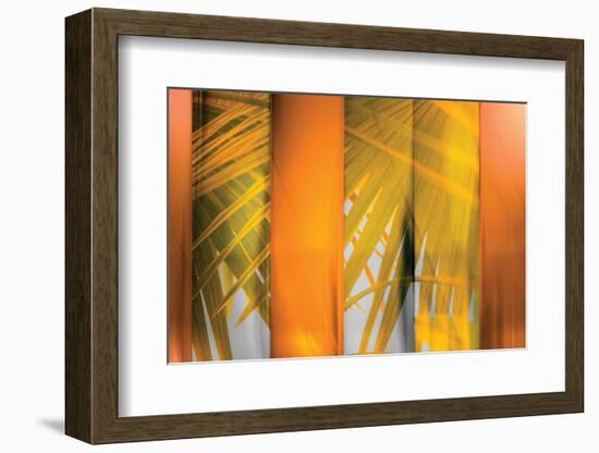 Tangerine and Cream-Andrew Michaels-Framed Photographic Print