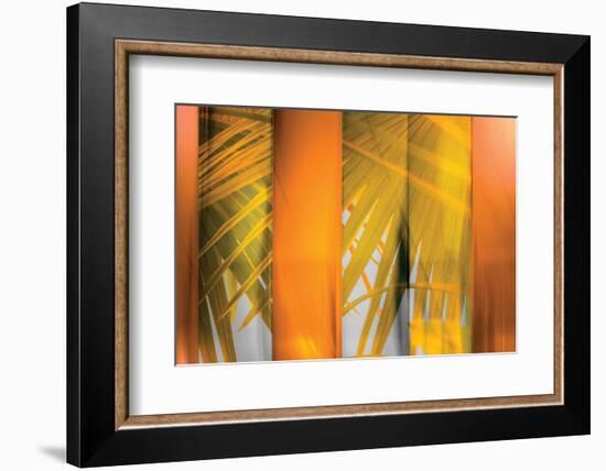 Tangerine and Cream-Andrew Michaels-Framed Photographic Print