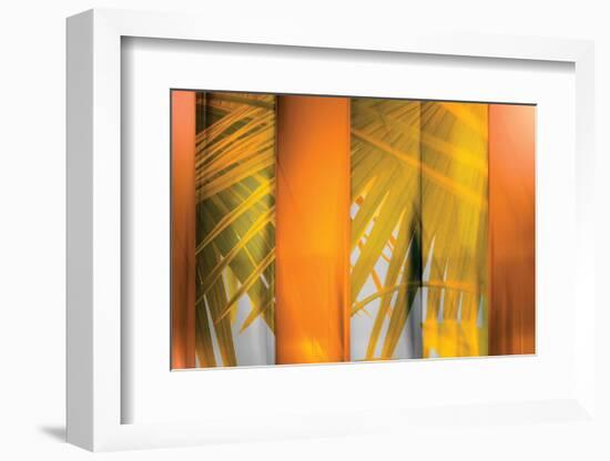 Tangerine and Cream-Andrew Michaels-Framed Photographic Print