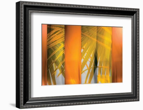 Tangerine and Cream-Andrew Michaels-Framed Photographic Print