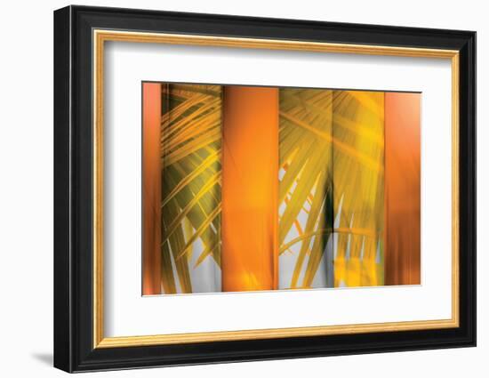 Tangerine and Cream-Andrew Michaels-Framed Photographic Print