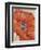 Tangerine Bloom 1-Linza Bouchet-Framed Art Print