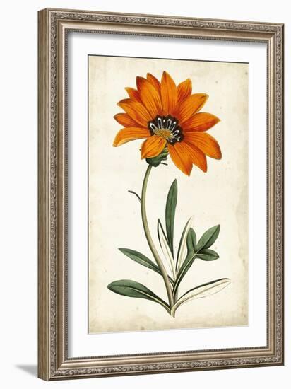 Tangerine Floral I-Curtis-Framed Art Print