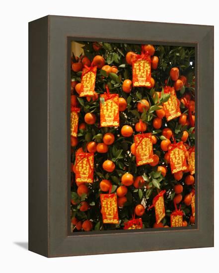 Tangerine Good Luck Symbols, Chinese New Year Decoration, Macao, China, Asia-null-Framed Premier Image Canvas