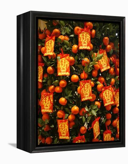 Tangerine Good Luck Symbols, Chinese New Year Decoration, Macao, China, Asia-null-Framed Premier Image Canvas