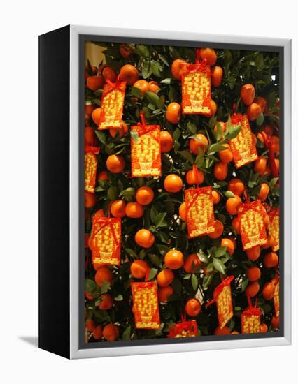 Tangerine Good Luck Symbols, Chinese New Year Decoration, Macao, China, Asia-null-Framed Premier Image Canvas