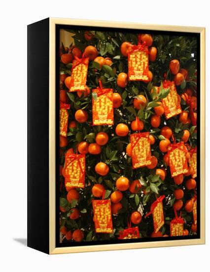 Tangerine Good Luck Symbols, Chinese New Year Decoration, Macao, China, Asia-null-Framed Premier Image Canvas