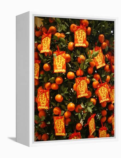 Tangerine Good Luck Symbols, Chinese New Year Decoration, Macao, China, Asia-null-Framed Premier Image Canvas