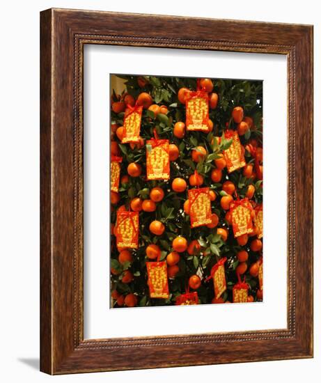Tangerine Good Luck Symbols, Chinese New Year Decoration, Macao, China, Asia-null-Framed Premium Photographic Print