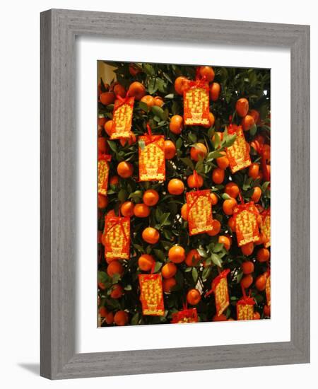 Tangerine Good Luck Symbols, Chinese New Year Decoration, Macao, China, Asia-null-Framed Photographic Print