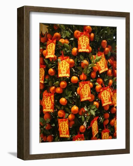 Tangerine Good Luck Symbols, Chinese New Year Decoration, Macao, China, Asia-null-Framed Photographic Print