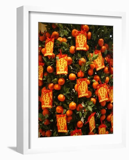 Tangerine Good Luck Symbols, Chinese New Year Decoration, Macao, China, Asia-null-Framed Photographic Print