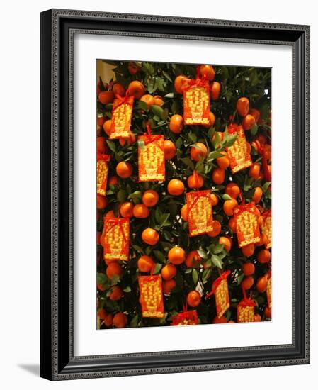 Tangerine Good Luck Symbols, Chinese New Year Decoration, Macao, China, Asia-null-Framed Photographic Print