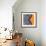 Tangerine Iris-Belen Mena-Framed Giclee Print displayed on a wall