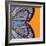 Tangerine Iris-Belen Mena-Framed Giclee Print