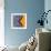 Tangerine Iris-Belen Mena-Framed Giclee Print displayed on a wall