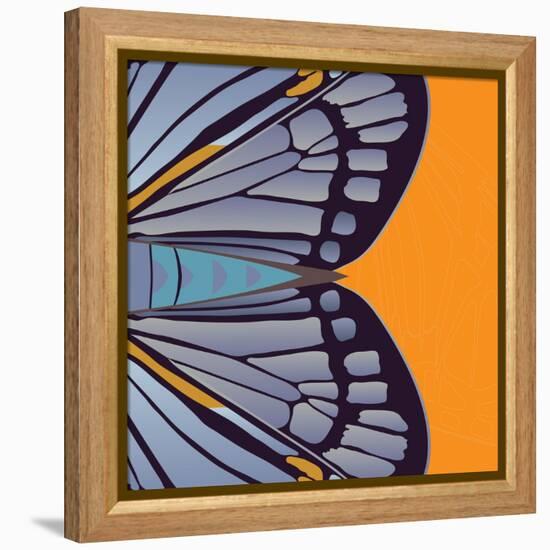 Tangerine Iris-Belen Mena-Framed Premier Image Canvas