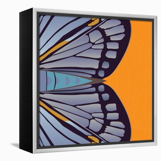 Tangerine Iris-Belen Mena-Framed Premier Image Canvas