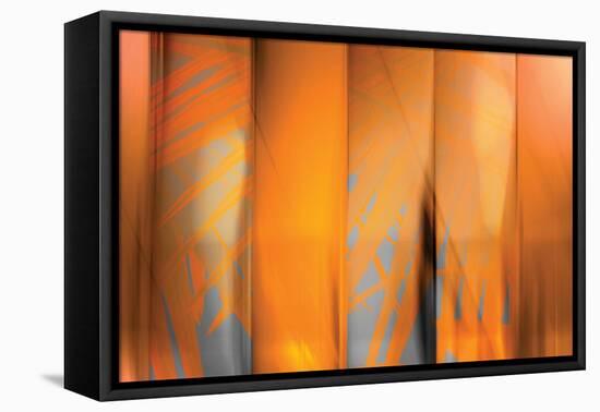 Tangerine on Grey-Andrew Michaels-Framed Premier Image Canvas