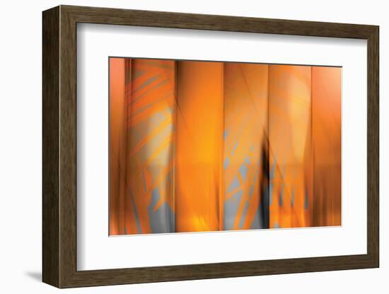 Tangerine on Grey-Andrew Michaels-Framed Photographic Print