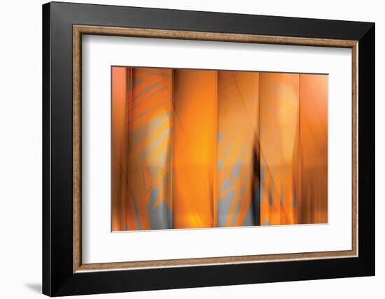 Tangerine on Grey-Andrew Michaels-Framed Photographic Print