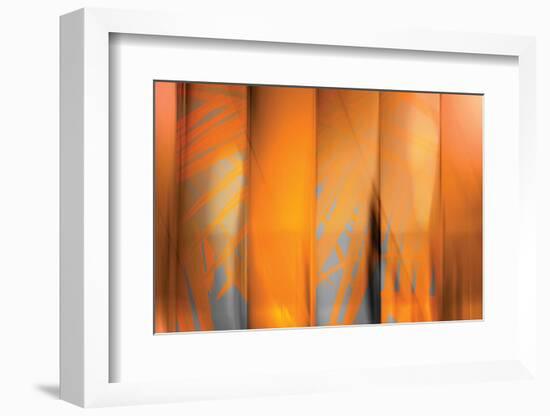 Tangerine on Grey-Andrew Michaels-Framed Photographic Print