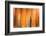 Tangerine on Grey-Andrew Michaels-Framed Photographic Print