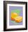 Tangerine-ATOM-Framed Giclee Print