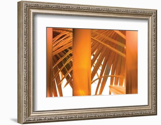 Tangerine-Andrew Michaels-Framed Photographic Print