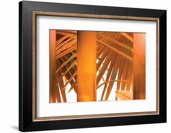 Tangerine-Andrew Michaels-Framed Photographic Print