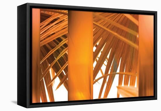 Tangerine-Andrew Michaels-Framed Premier Image Canvas