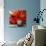 Tangerino-Doris Savard-Mounted Art Print displayed on a wall