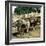 Tangier (Morocco), Camels at the Market (Soko), Circa 1885-Leon, Levy et Fils-Framed Photographic Print