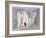 Tangiers-Hercules Brabazon Brabazon-Framed Giclee Print