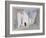 Tangiers-Hercules Brabazon Brabazon-Framed Giclee Print